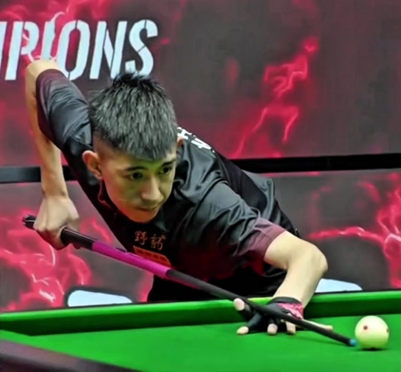 的展示平台 的展示平台